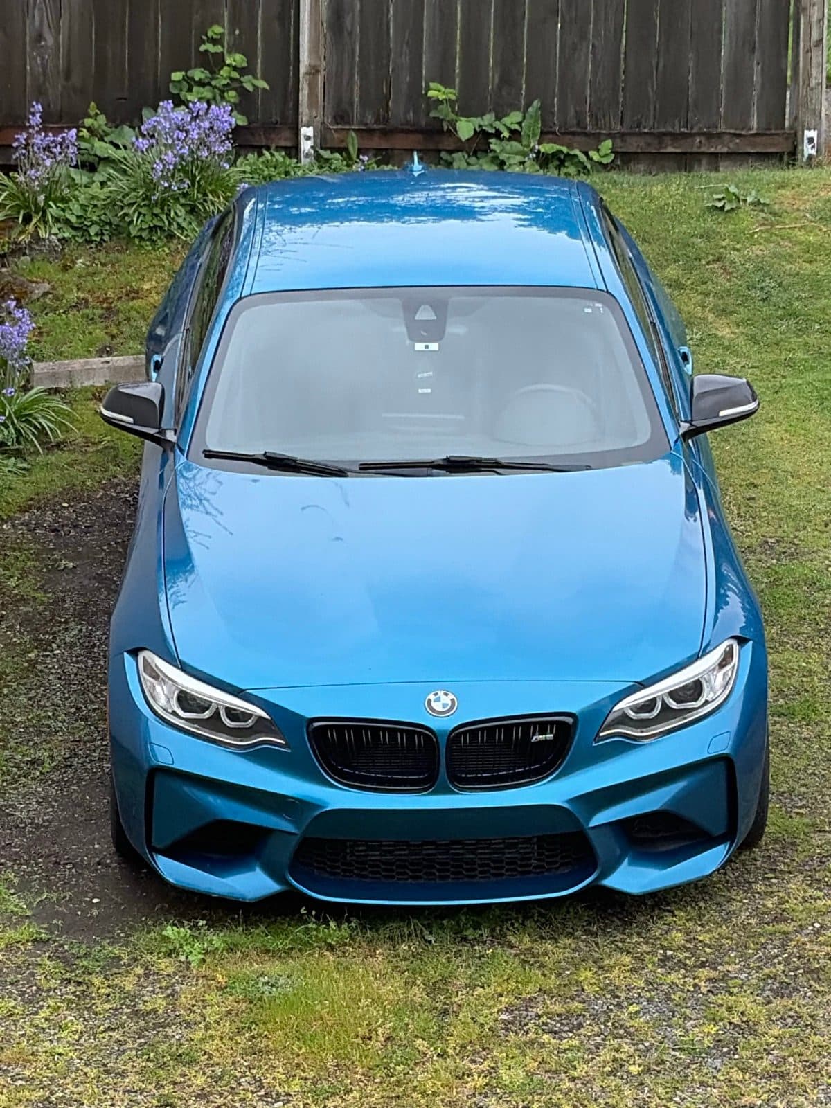 Blue BMW M2 parked on grass
