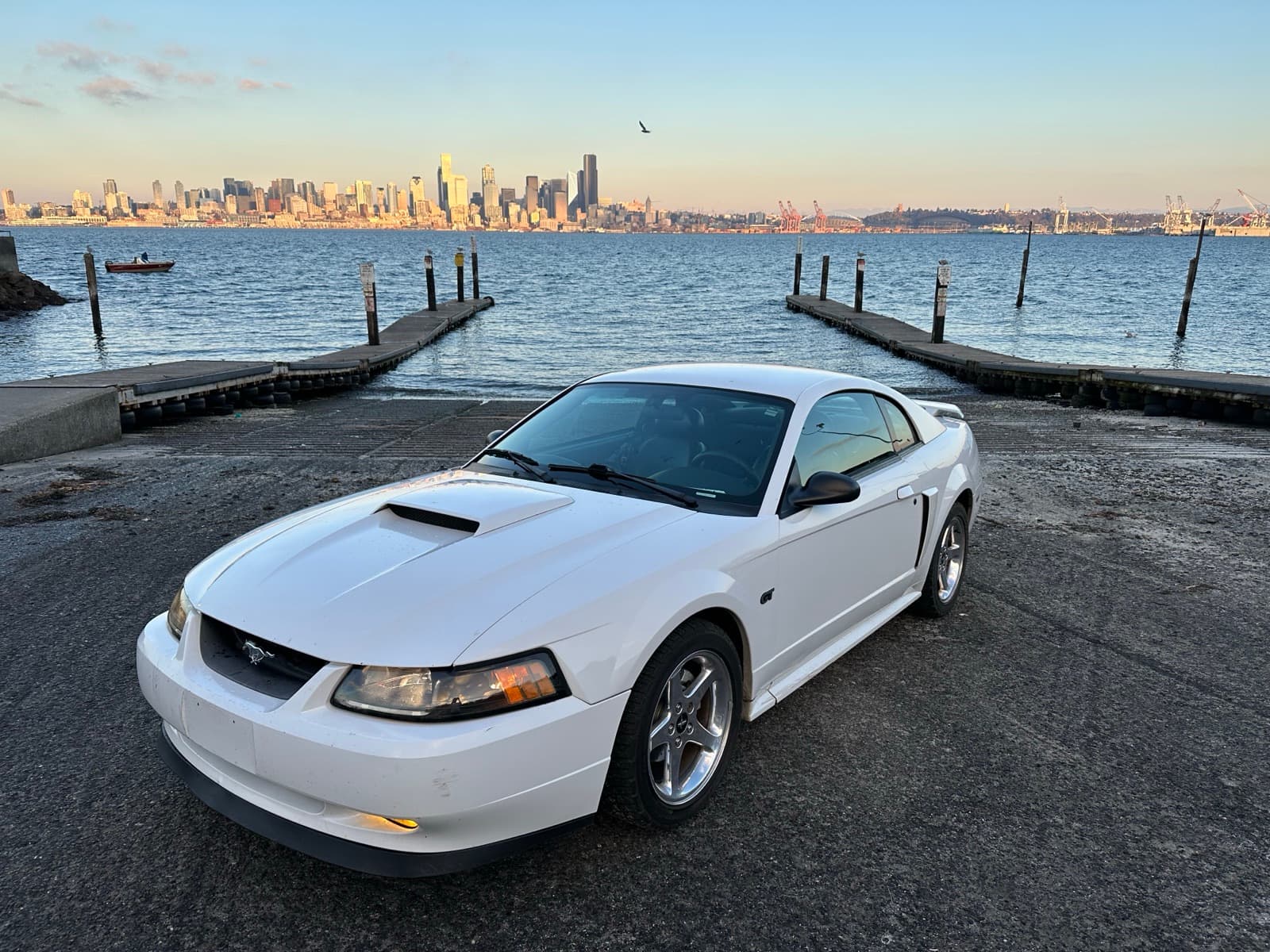 White 2003 Ford Mustang GT parked at the West Seattle waterfront with the Seattle skyline behind it