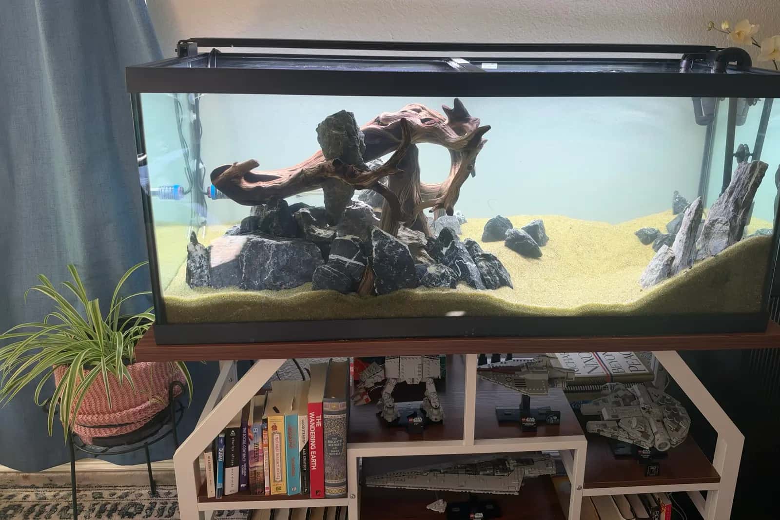 75-gallon aquarium, set up and filled, with a light bar across the rim and the filter intake on the right. A manzanita arch spans seiryu stone over sand that slopes up toward the back. A spider plant sits beside the tank, and LEGO ships fill the shelves below.